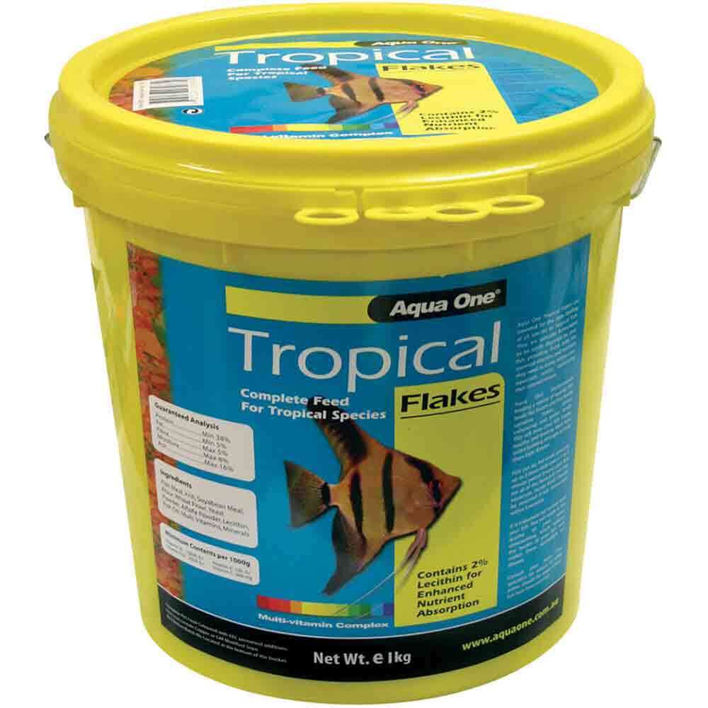 tropical fish food in bulk