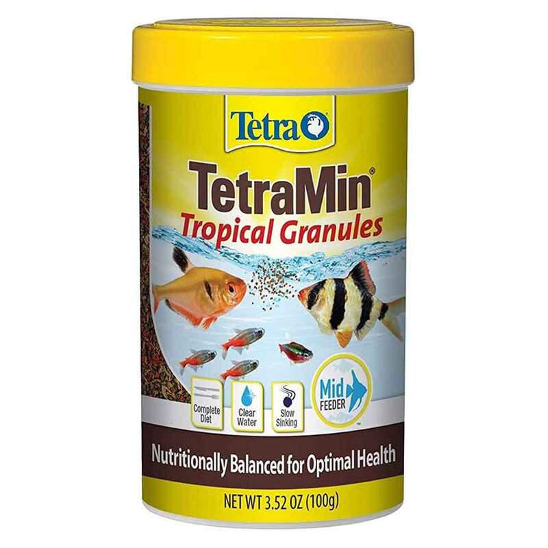 Tetra TetraMin Tropical Granules 3.52 Ounces, Nutritionally  Balanced Fish Food : Pet Supplies